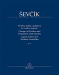 Výměny poloh a průprava ke cvičení stupnic op. 8 - Otakar Ševčík