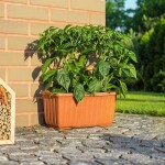 Plastia Samozavlažovací truhlík FLORIA SIESTA 40 cm 40 cm 20 cm