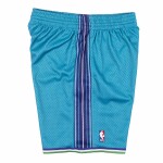 Mitchell & Ness Pánské kraťasy Charlotte Hornets NBA 1999-00 Swingman Shorts Velikost: S