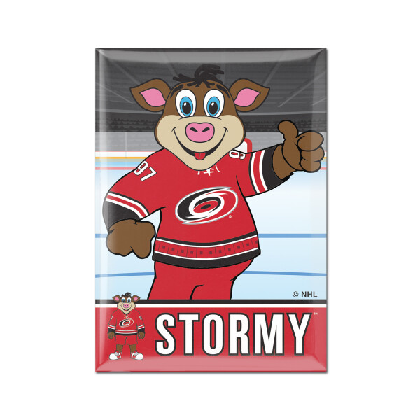 Wincraft Magnet Carolina Hurricanes NHL Metal Magnet MASCOT