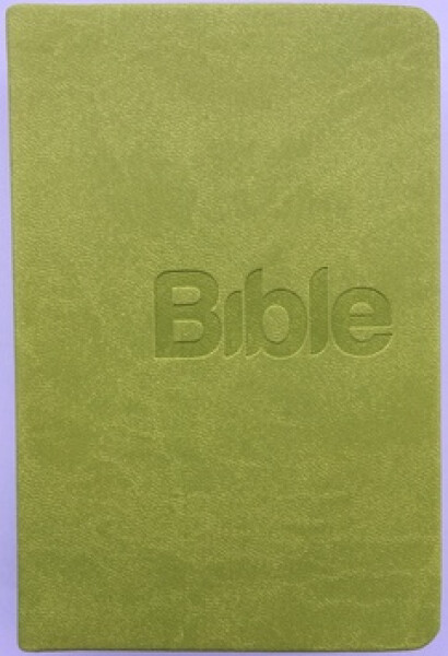 Bible, překlad 21. století (Green) - Alexandr Flek