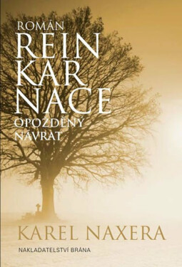 Reinkarnace - Opožděný návrat (poškozená) - Karel Naxera