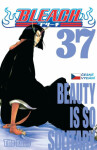 Bleach 37: Beauty Is So Solitary Kubo