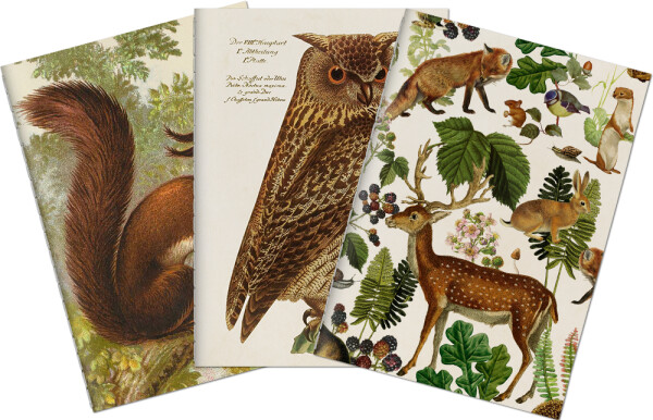 Sada tří notýsků Forest Animals