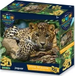 PRIME 3D Puzzle Ohrožené druhy: Jaguár