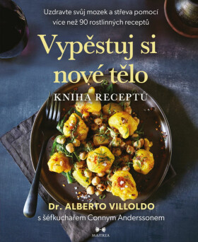 Vypěstuj si nové tělo – KNIHA RECEPTŮ - Alberto Villoldo, Conny Andersson