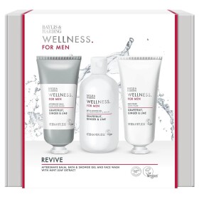 Baylis & Harding Sada pánské tělové kosmetiky Wellness for Men, multi barva, plast