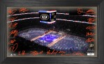 Highland Mint Obraz Anaheim Ducks NHL 2022 Signature Rink