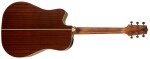Takamine GD20CE-NS