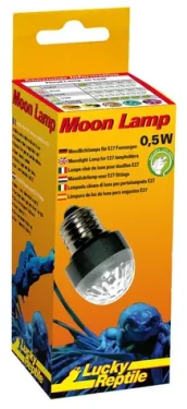 Lucky Reptile Moon Lamp (FP-63801)