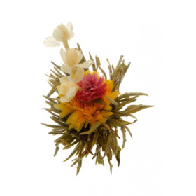 Oxalis Man Tian Xian Tao Posvátné květy 1 ks (kvetoucí čaj)