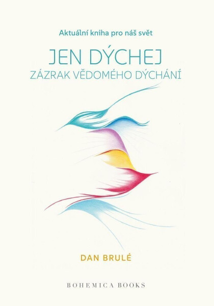 Jen dýchej - Zázrak vědomého dýchání - Dan Brulé