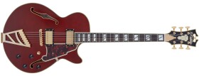 D'Angelico Excel SS Viola