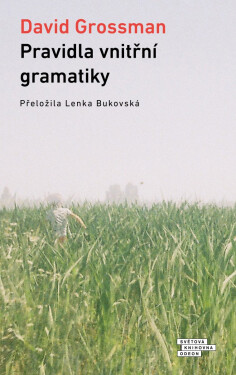 Pravidla vnitřní gramatiky - David Grossman