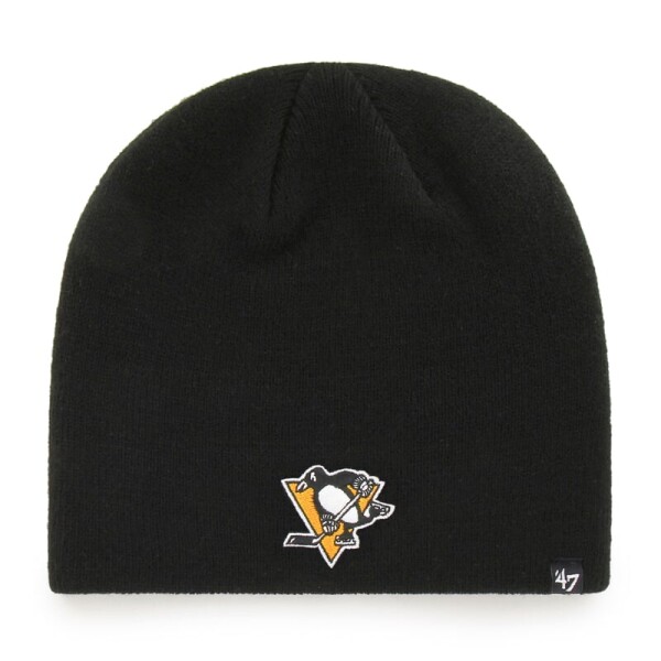 Pittsburgh Penguins '47