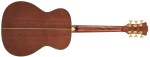 D'Angelico Tammany Orchestra E Autumn Burst