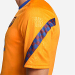 Pánské fotbalové tričko FC Barcelona DF Nike XL