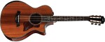 Taylor PS12ce 12-Fret