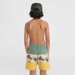 Plavecké šortky O'Neill Mix&Match Cali Block 13'' Jr 92800613806