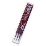 Pilot FriXion