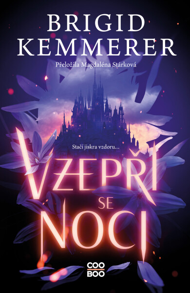 Vzepři se noci - Brigid Kemmererová