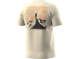 Dynafit Back Graphic Cotton pánské triko krátký rukáv Overcast/Summit vel. M