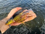 Fox Rage Nástraha Buck Pike Burbot - Large 56g,Fox Rage Nástraha Buck Pike Burbot - Large 56g