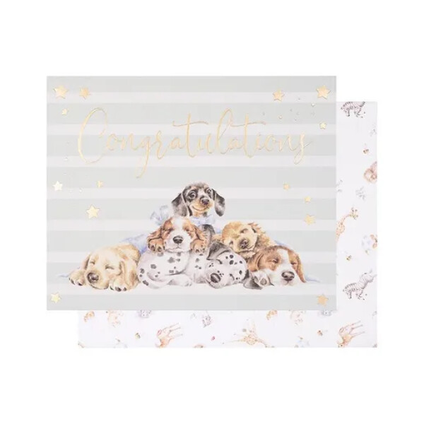Přání k narození dítěte Wrendale Designs Little Paws - Štěňátka