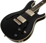 PRS SE Hollowbody Standard Dog Hair Smokeburst