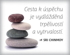 Magnet na lednici Cesta úspěchu je vydlážděná trpělivostí vytrvalostí