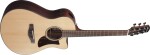 Ibanez AAM380CE Natural