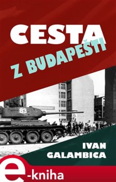 Cesta z Budapešti - Ivan Galambica e-kniha