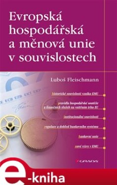 Evropská hospodářská a měnová unie v souvislostech - Luboš Fleischmann e-kniha