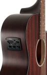 D'Angelico Premier Fulton LS Mahogany Satin