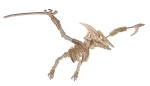 Woodcraft Dřevěné 3D puzzle Pterosaur