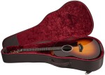 Taylor 217e-SB Plus