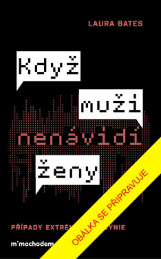 Když muži nenávidí ženy: Případy extrémní mizogynie - Laura Bates