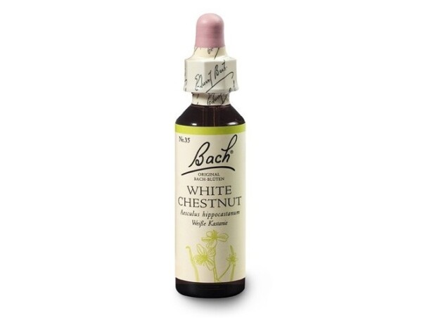 Kaštan bílý (White Chestnut) 20 ml- Bachovy esence Dr.Bach