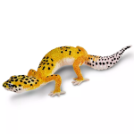 Safari Ltd. Safari Ltd. Figurka - Gekončík noční