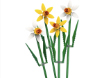 LEGO® Botanicals 40747 Narcisy