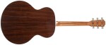 Taylor Legacy 815e