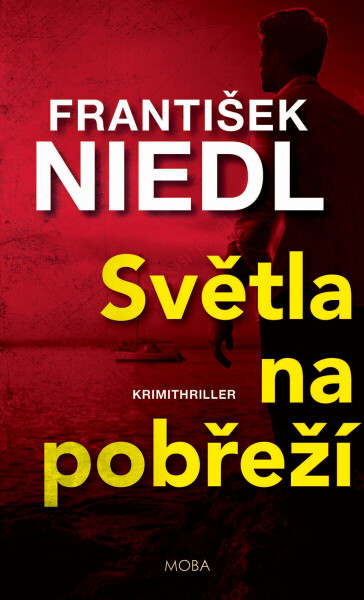 Světla na pobřeží - František Niedl