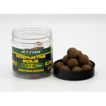 Jet Fish Rozpustné boilies Legend Range Fermentovaná Ančovička 250ml 20mm (000109)