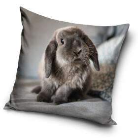 Povlak na polštářek Zakrslý Králíček