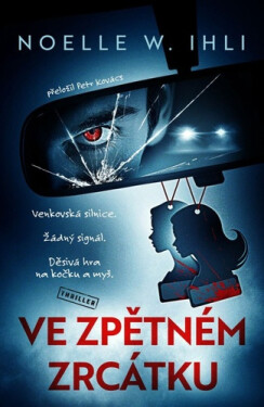 Ve zpětném zrcátku - Noelle W. Ihli