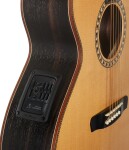 Dowina Danubius GACE-S StagePro