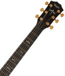 Taylor 614ce LTD 50th Anniversary