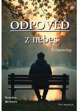 Odpověď z nebes - Brandon McYntire