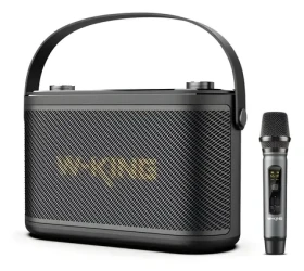 W-King H10s černá / Reproduktor / Bluetooth 5.0 / 80W / čtečka karet (H10S-BLK)