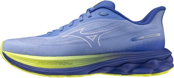 Běžecké boty Mizuno WAVE SKYRISE 7 J1GD260921 Velikost obuvi v EU: 42